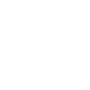 Launched the Assembly Show
